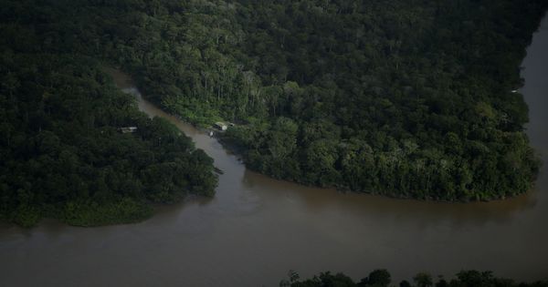 Foto: Una vista aérea del Amazonas. (Reuters)