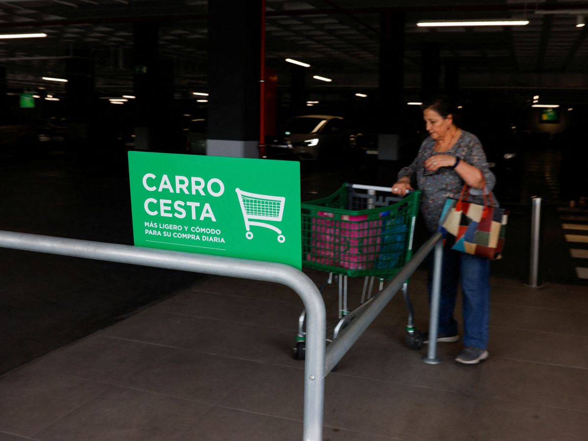 Foto: Mercadona retira progresivamente carros de sus tiendas: este es el por qué.(REUTERS / Jon Nazca)