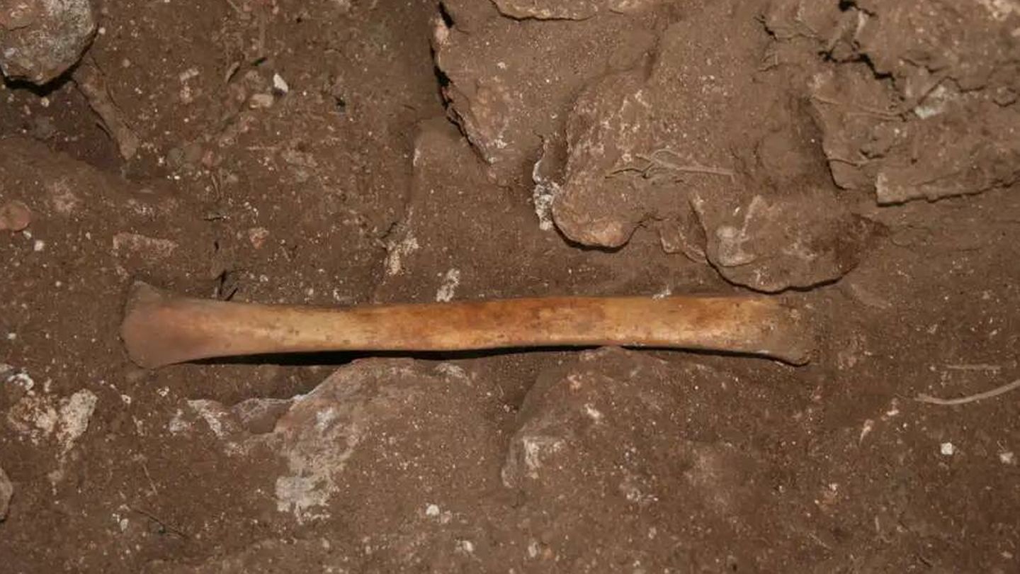 Tibia hallada en la Cueva de los Mármoles (Plos One)