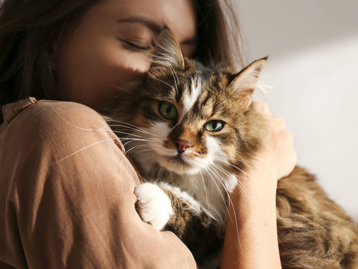 5 detalles por las que tu gato es tu alma gemela