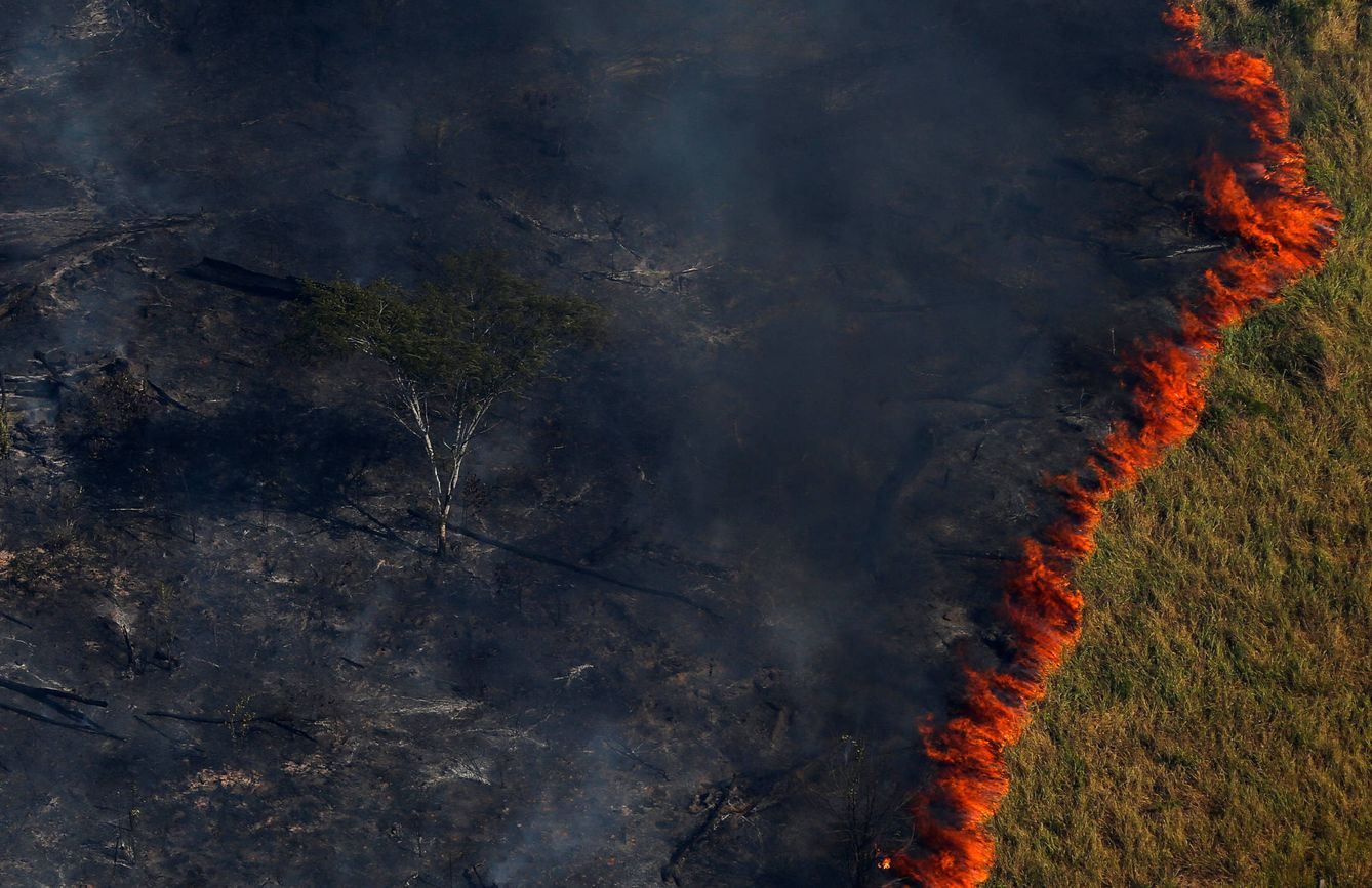 Las llamas avanzan en un bosque tropical durante una operación contra la tala ilegal en el estado de Amazonas, Brasil. (Reuters)