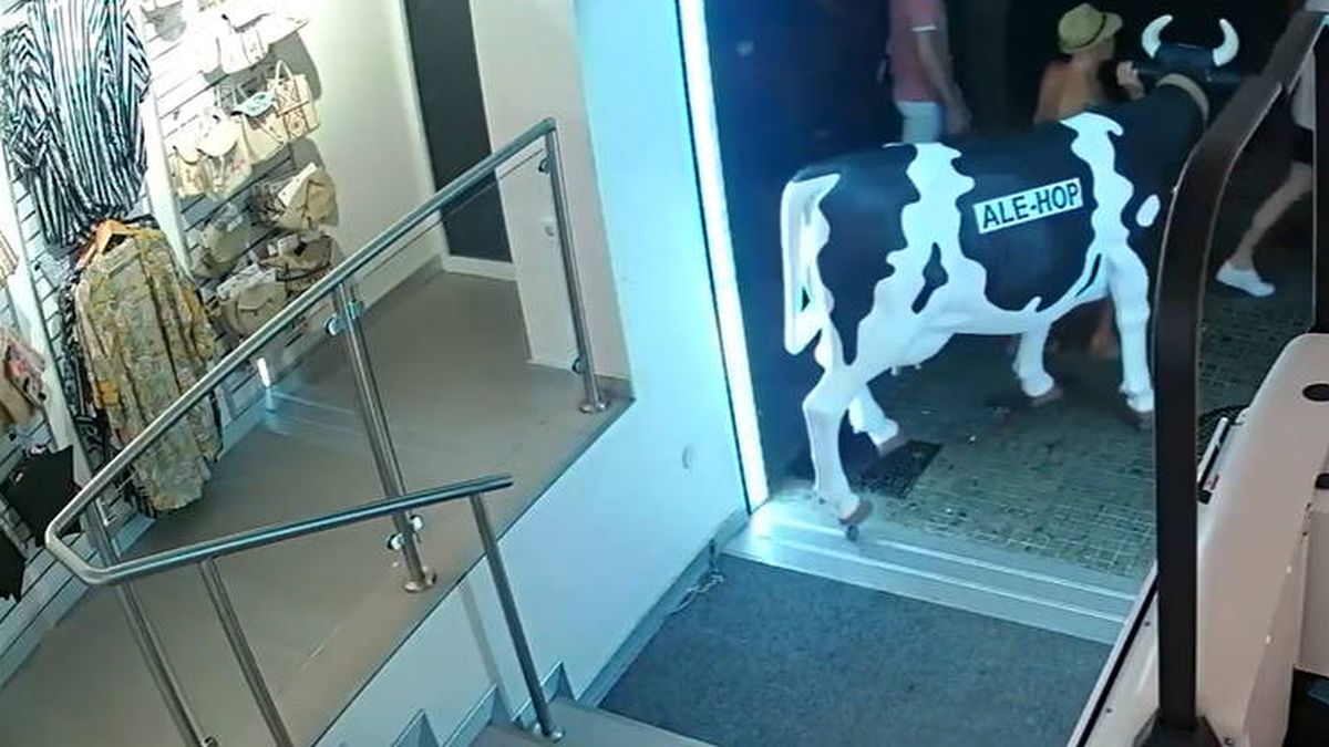 Detenido por intentar robar la réplica de una vaca de una tienda Ale-Hop en Palma