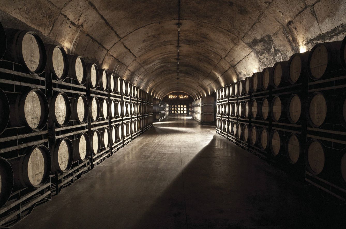El vino en la bodega de Jean leon envejece en barricas de roble francés durante 24 meses.