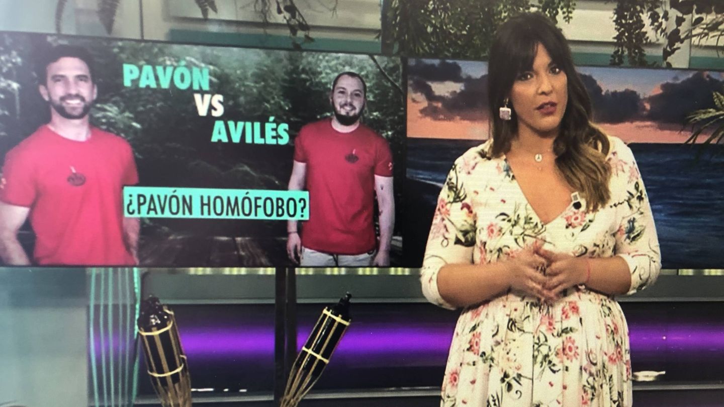 'El programa de Ana Rosa' se pregunta si Pavón es homófobo. (Mediaset España)
