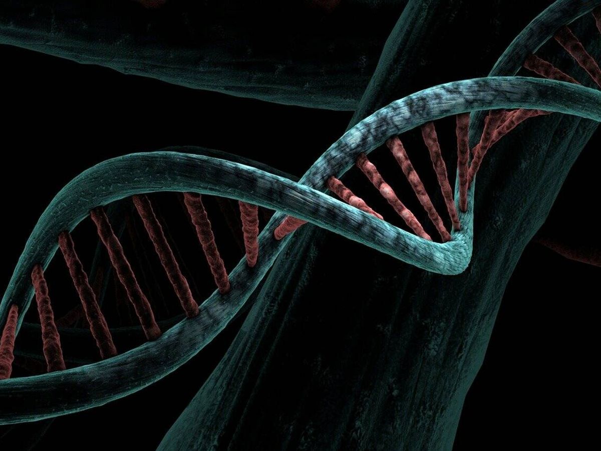 Foto: Explorando el papel de los parásitos genéticos en la salud humana. (Pixabay)