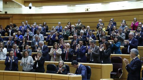 Vídeo, en directo | Siga el nuevo cara a cara entre Feijóo y Pedro Sánchez en el Senado