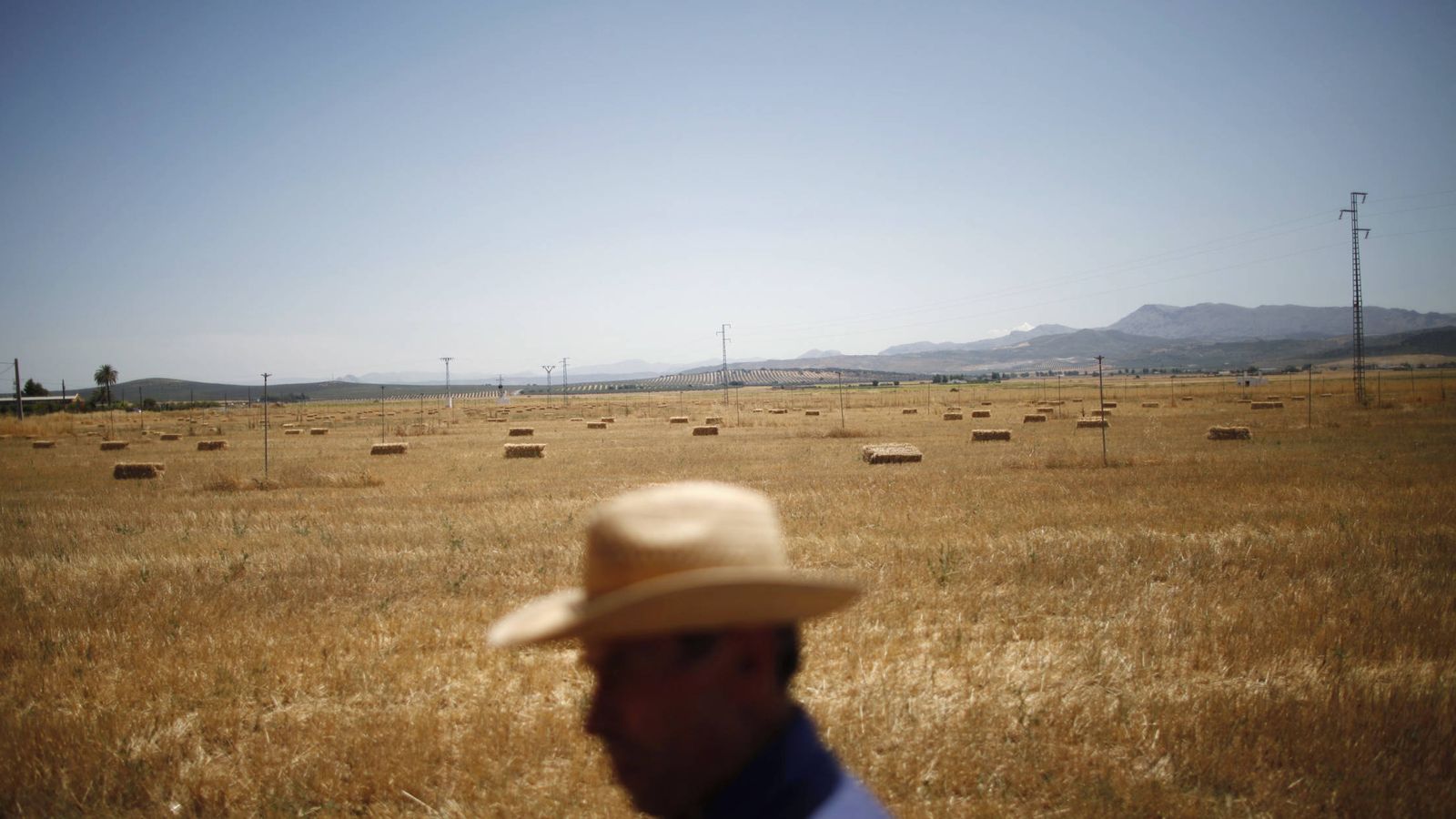 Foto: Un agricultor trabaja el campo en solitario en Antequera. (REUTERS/Jon Nazca)