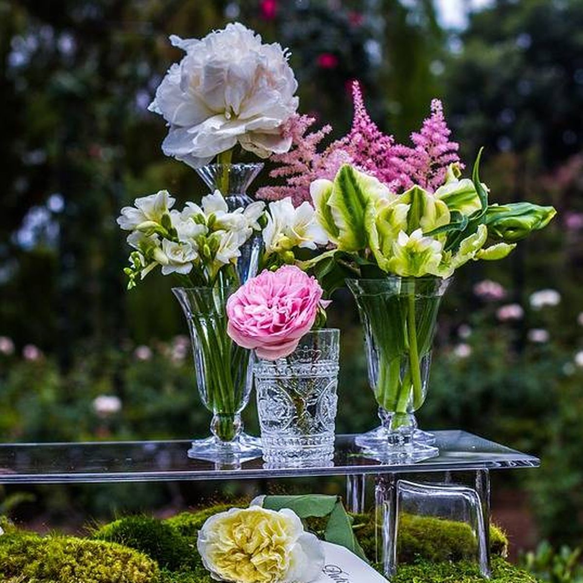 Circunstancias imprevistas Convocar Nos vemos Jarrones de cristal para colocar flores y plantas por toda la casa