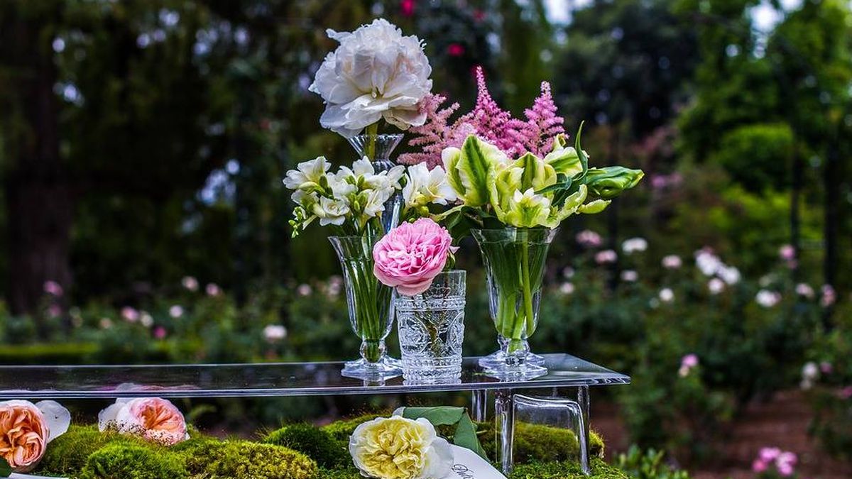 Jarrones de cristal para colocar flores y plantas toda casa