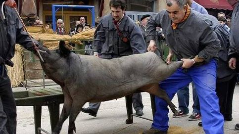 Vox se vuelve 'woke' por un día: aceptan quitar la foto de un cerdo en una matanza