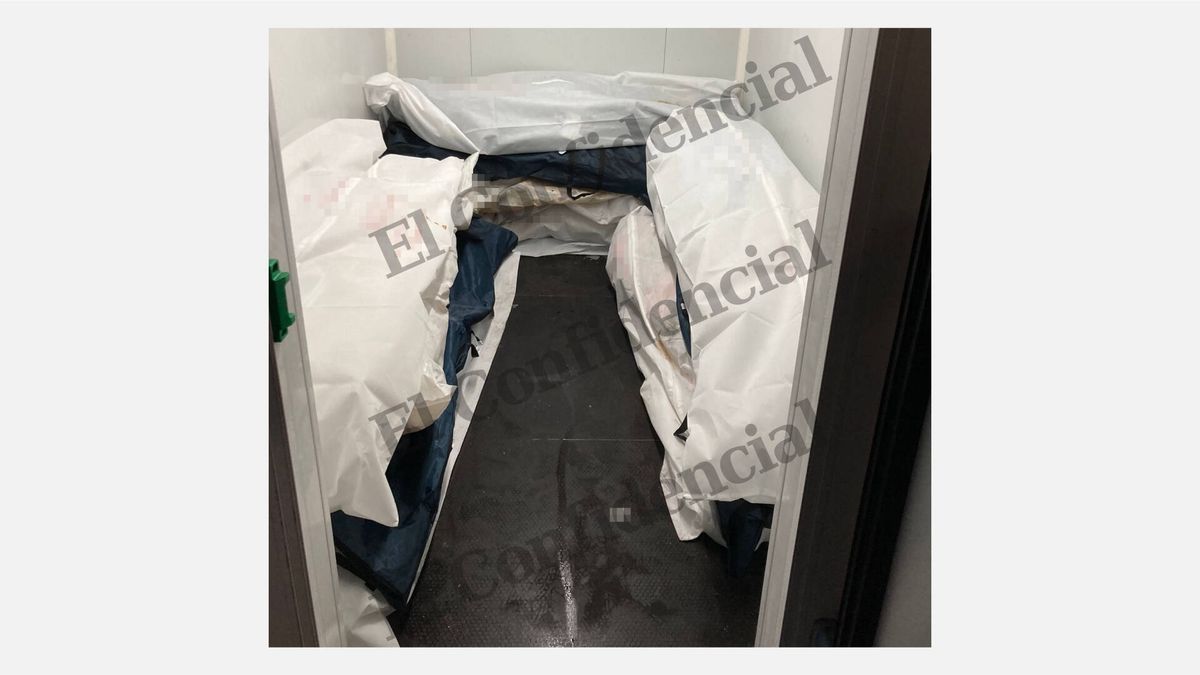 Cadáveres amontonados en un contenedor de frío por unas obras en la sede de los forenses de Málaga