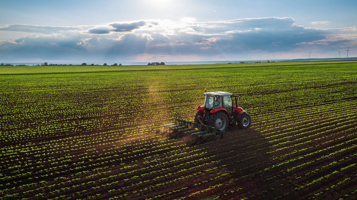 La gran revolución del campo: así serán las granjas y cultivos