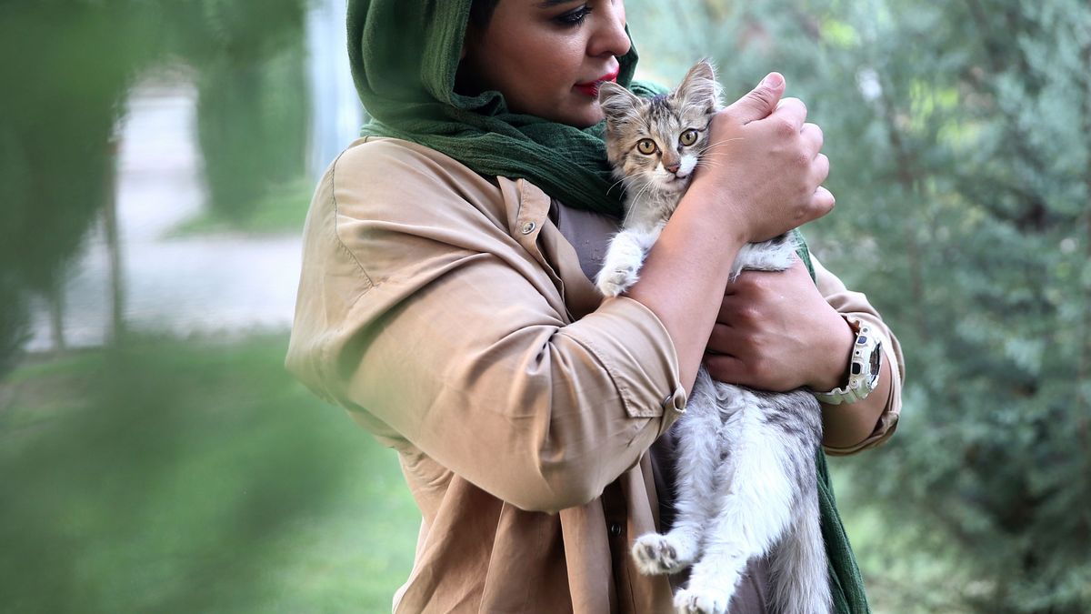 Ni perros ni gatos: Irán se plantea prohibir mascotas al considerarlas "impuras"