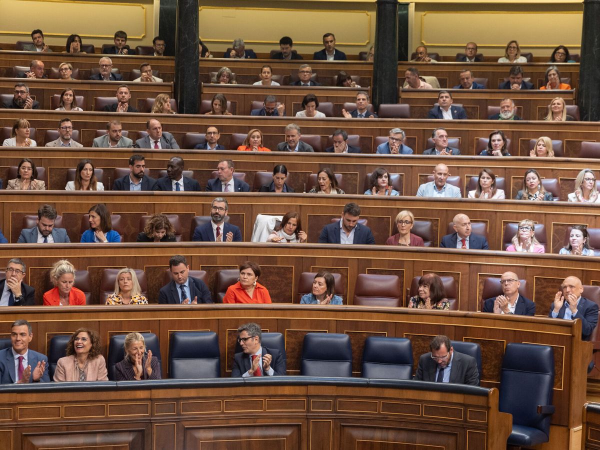 Foto: La bancada del grupo socialista esta semana en el Congreso. (EP/Eduardo Parra)