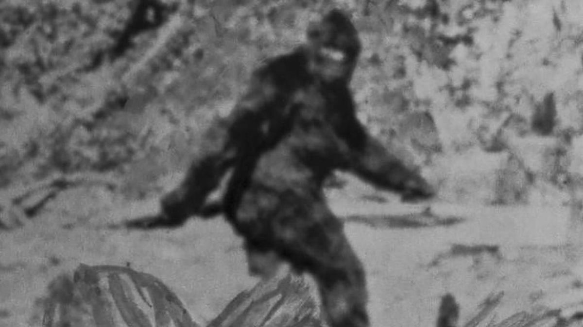 Bigfoot: ¿realidad o mito? El extraño caso que hizo que el FBI tuviera que intervenir