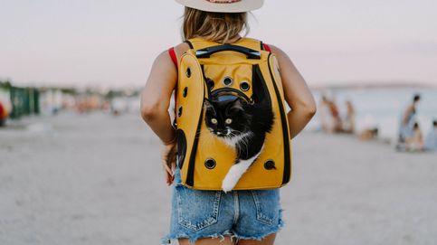 Los mejores transportines de carrito o mochila para llevar a tu mascota de viaje