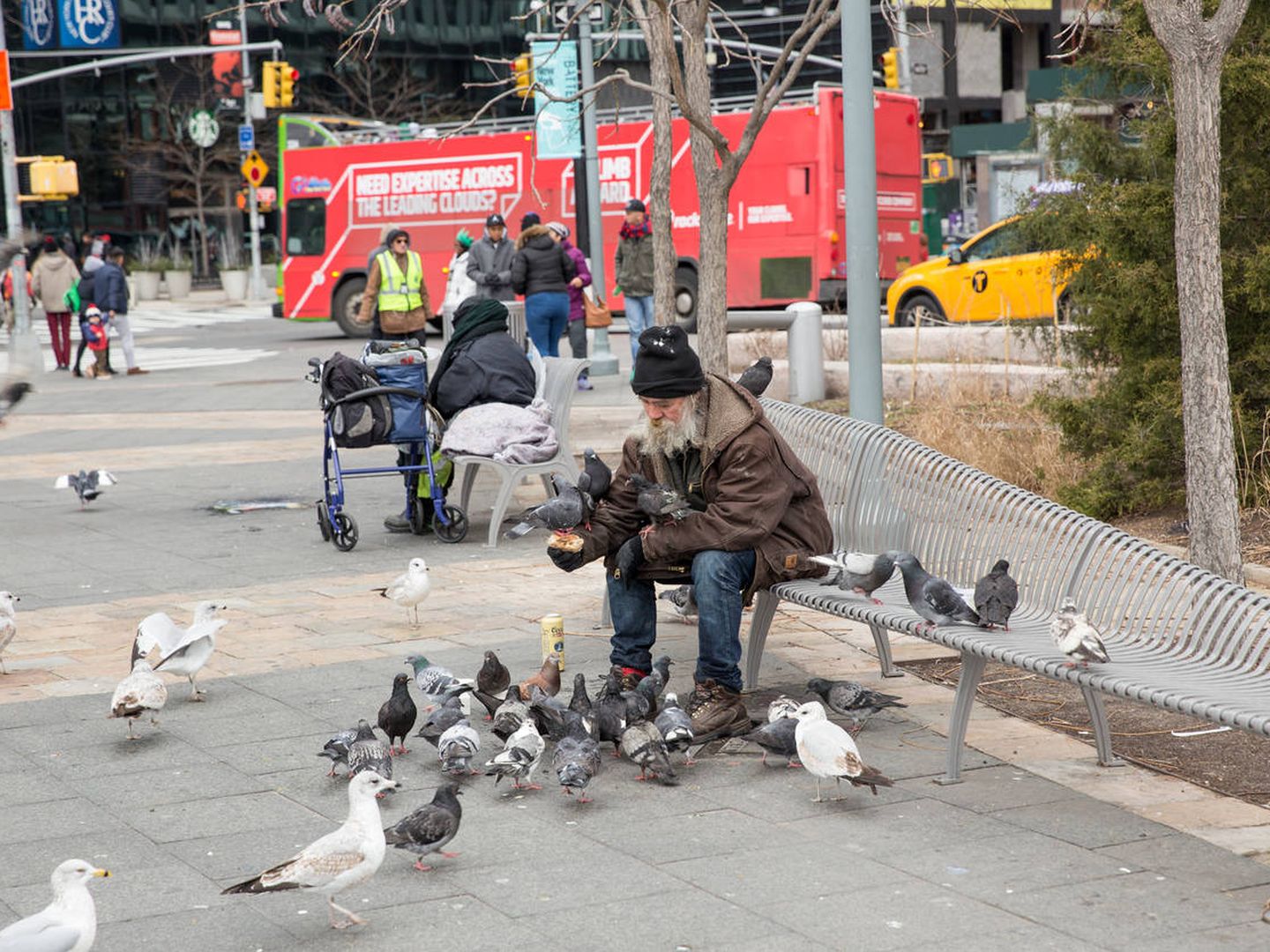 Un 'sin techo' da de comer a las palomas en Nueva York. (iStock)