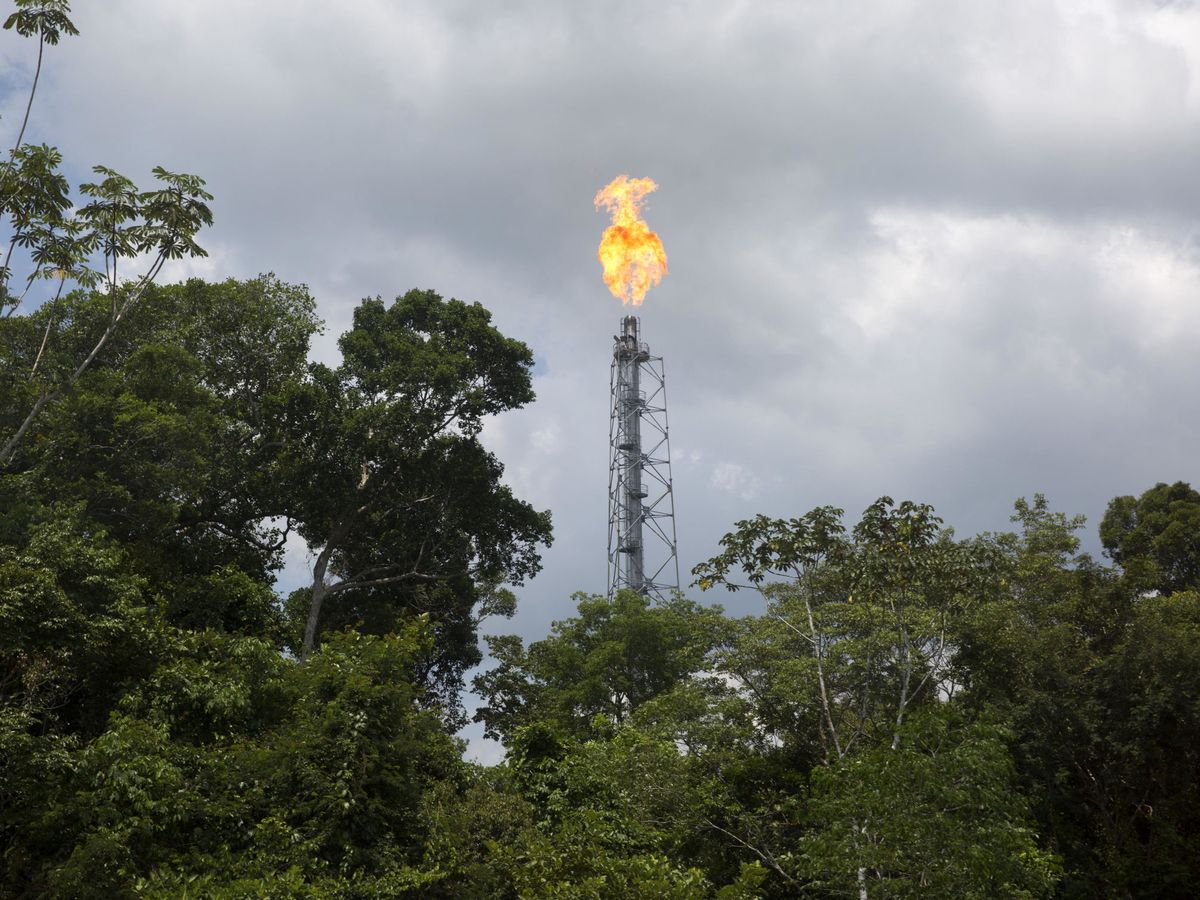 Foto: Explotación petrolífera en el Amazonas. (EFE/Sebastião Moreira)