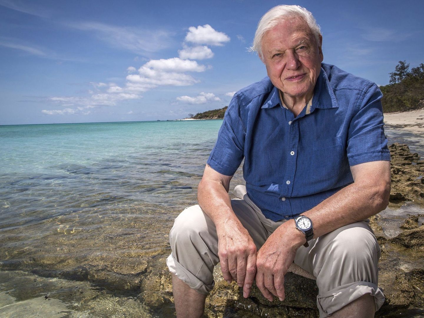 El divulgador ambiental Sir David Attenborough (BBC)