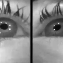 Foto: Vídeo en el que se muestra la contracción y dilatación de las pupilas durante el experimento (YouTube/Alonso Lab at SUNY Optometry)