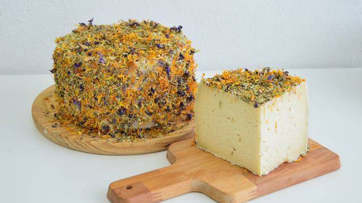 Uno de los mejores quesos del mundo se hace en España y cuesta menos de veinte euros