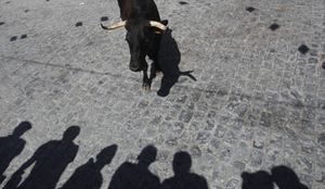 Cataluña blinda los 'correbous' dos meses después de prohibir las corridas de toros