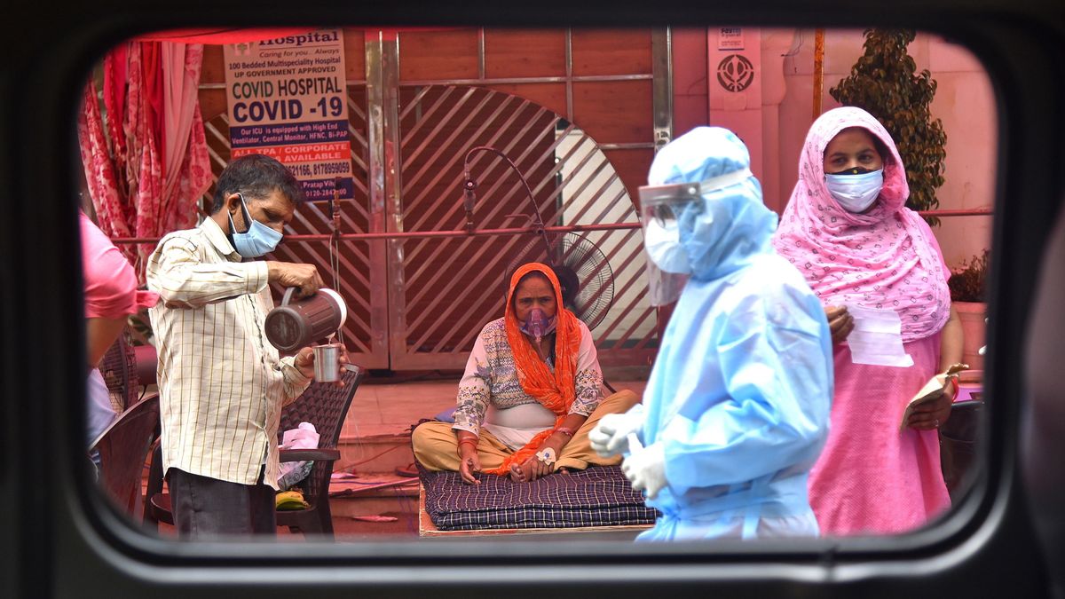 India se enfrenta a un aumento de casos de 'hongo negro' entre los pacientes de covid-19
