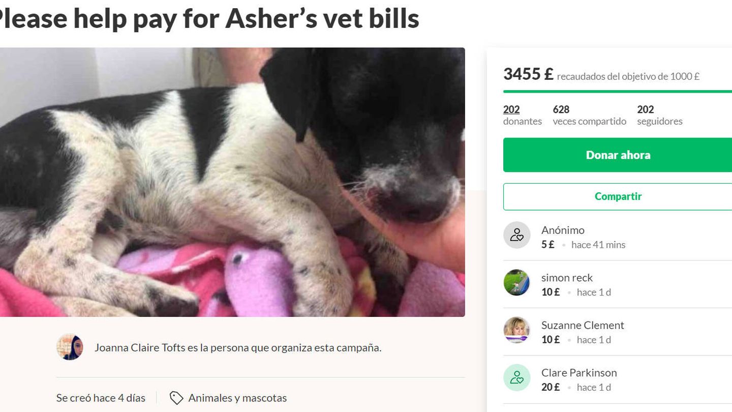Joanna ha creado una página en Gofundme para recoger fondos y pagar al veterinario
