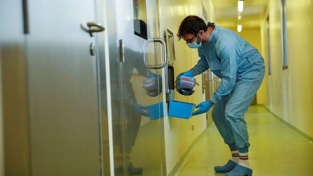 Sanidad estudia ocho posibles casos de viruela del mono en Madrid