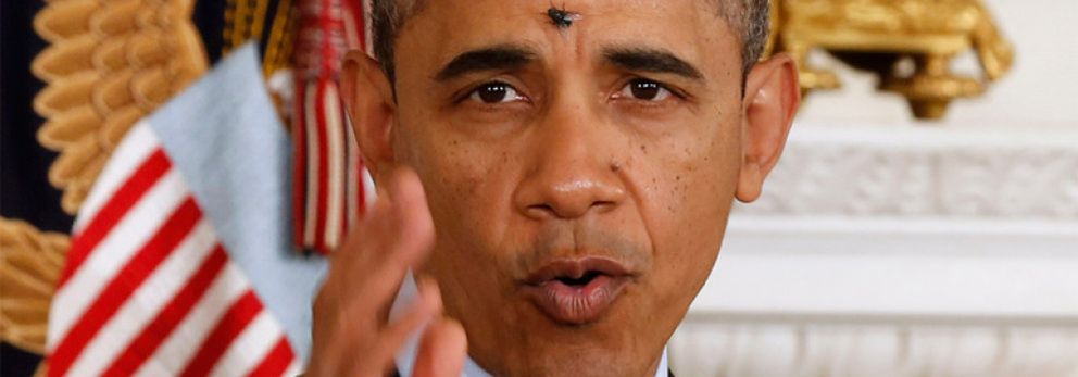 Foto: La mosca 'cojonera' que atacó a Obama