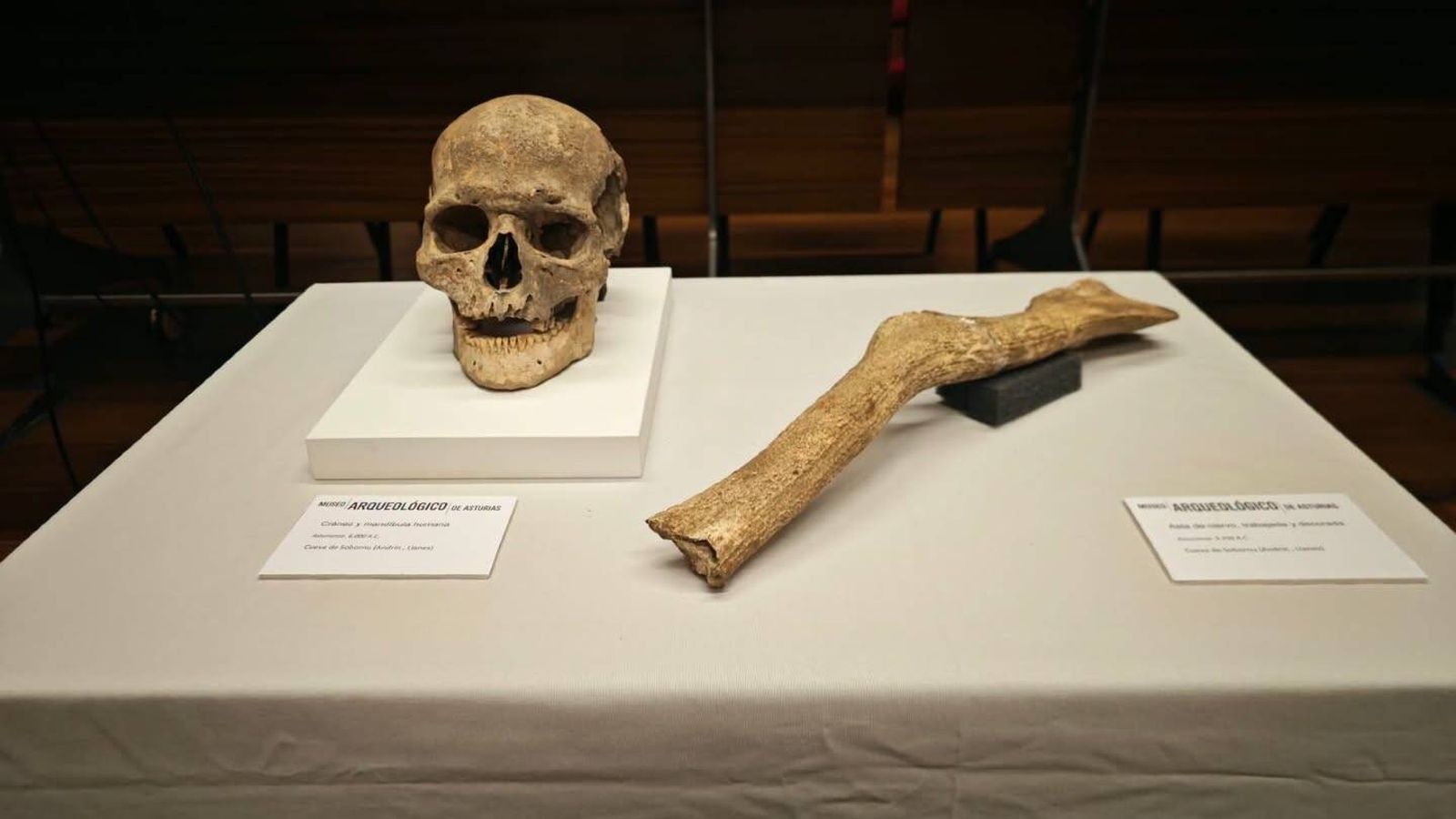 Hallan restos humanos de hace 8.000 años en Asturias: su dieta revela hasta qué punto dependían del mar Una mandíbula encontrada por dos espeleólogos fue el punto de partida de una excavación que ha permitido reconstruir cómo vivían las comunidades del Mesolítico en el oriente asturiano