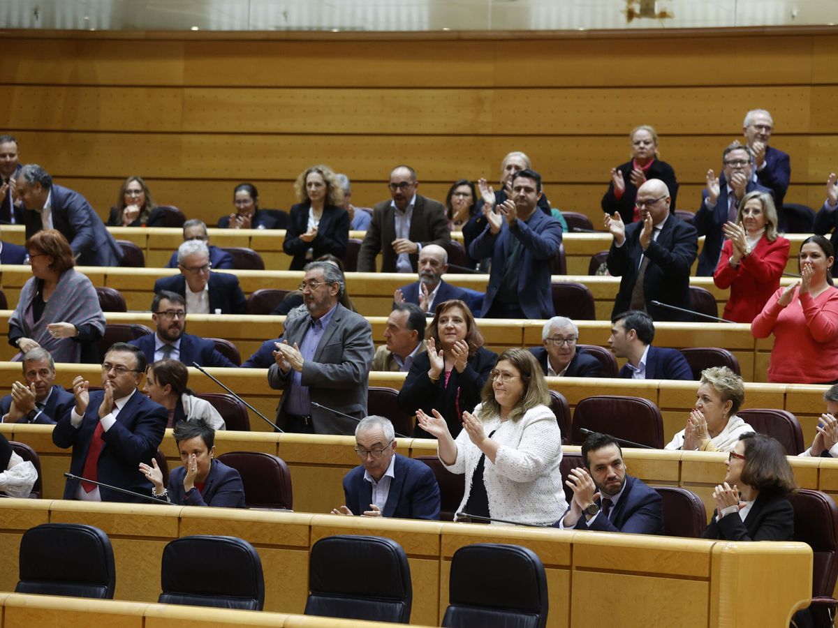 Foto: Pleno del Senado en el que se ha aprobado la reforma del Código Penal. EFE Juan Carlos Hidalgo.