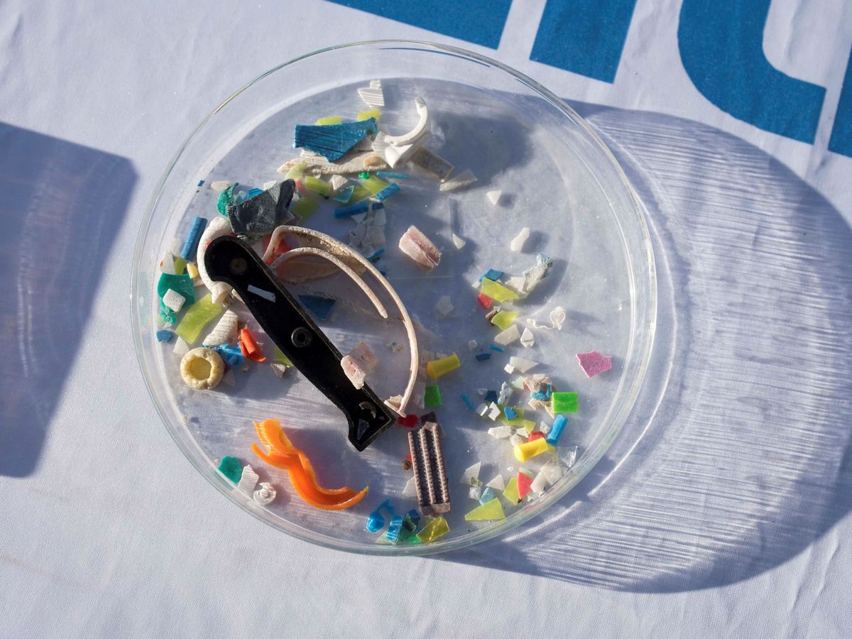 Foto: Microplásticos recogidos en el Mediterráneo. (EFE/David Arquimbau)