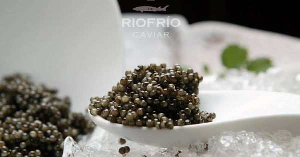 Foto: Caviar, un manjar.
