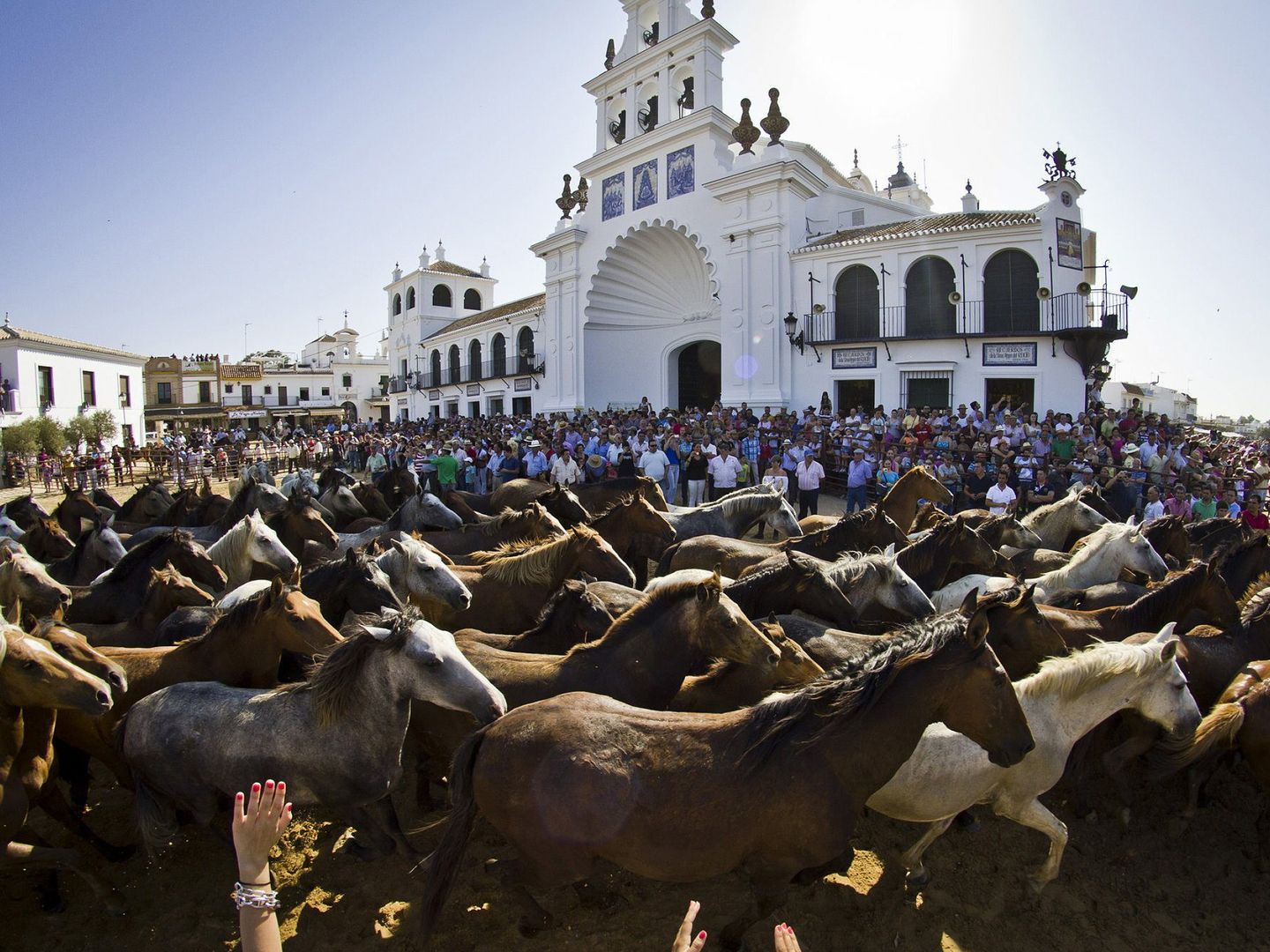 La Saca de las Yeguas en Almonte, Huelva. (EFE/Julián Pérez)
