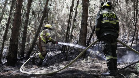 Incendios forestales en Bogotá y aniversario de la liberación de San Petersburgo: el día en fotos
