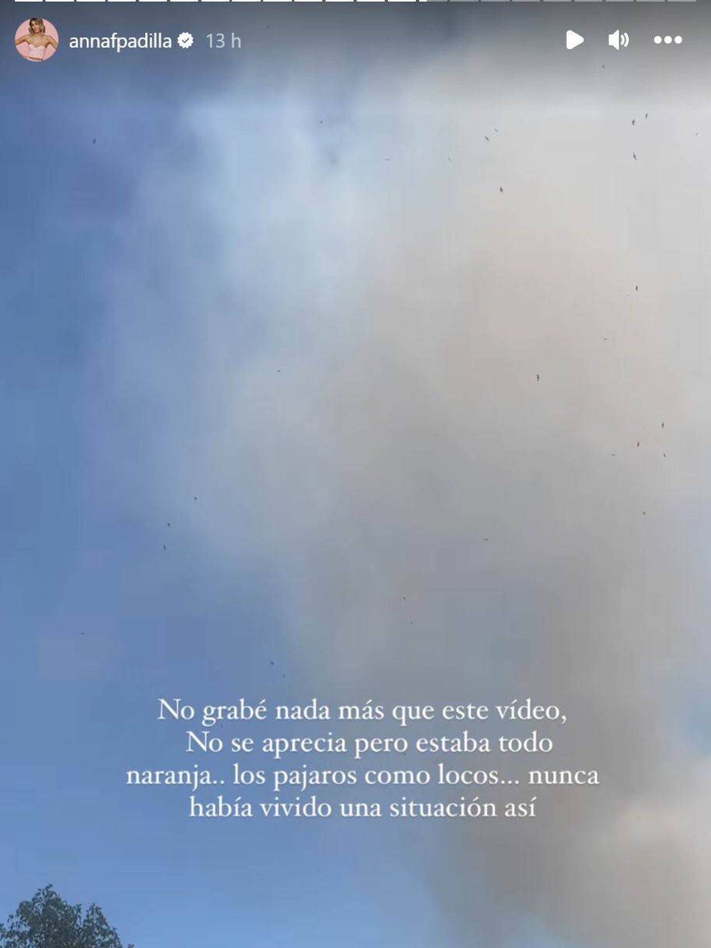 Anna Ferrer muestra el humo del incendio próximo a su casa. (Instagram/@annafpadilla)