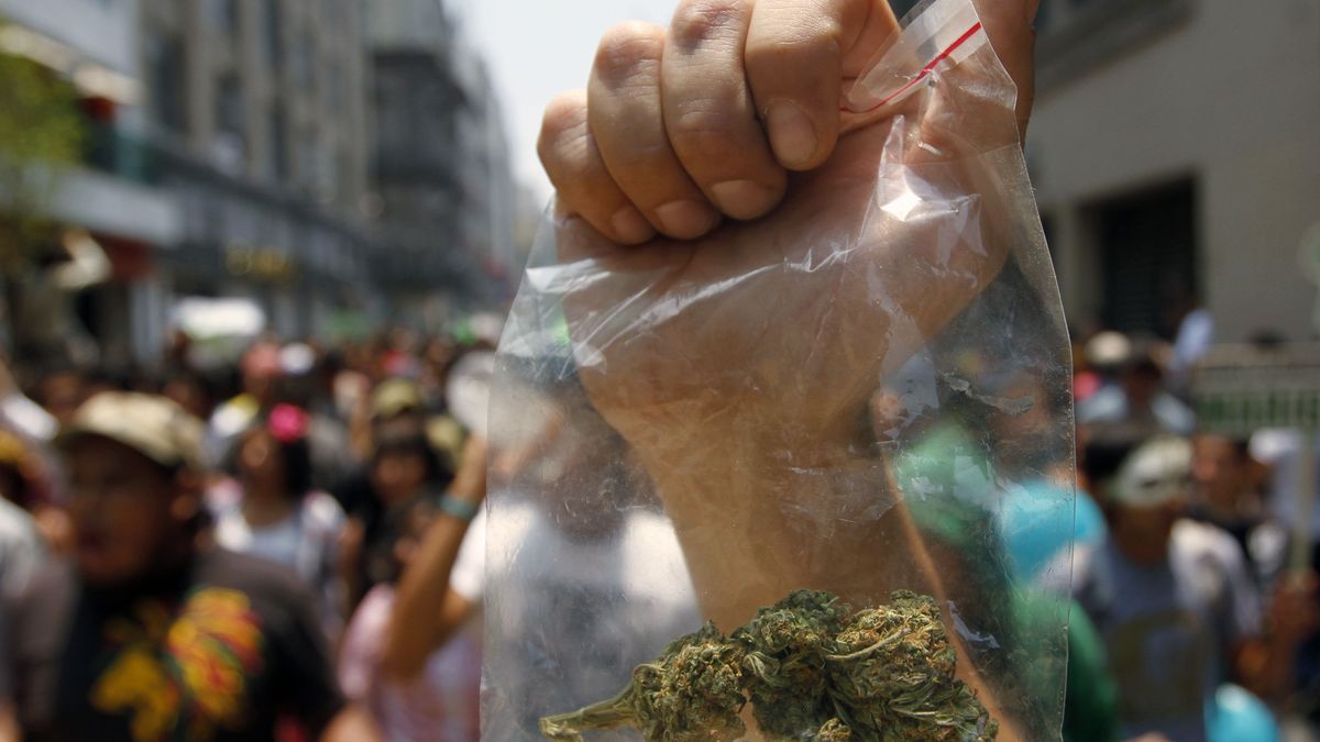 México debate legalizar el lucrativo negocio de la marihuana en la capital