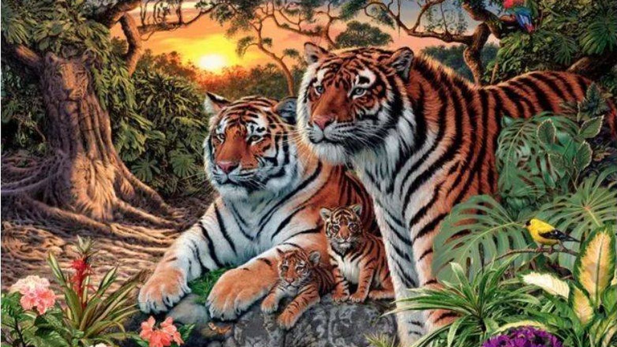 Acertijo visual: ¿cuántos tigres puedes ver en la imagen? Es más difícil de lo que parece