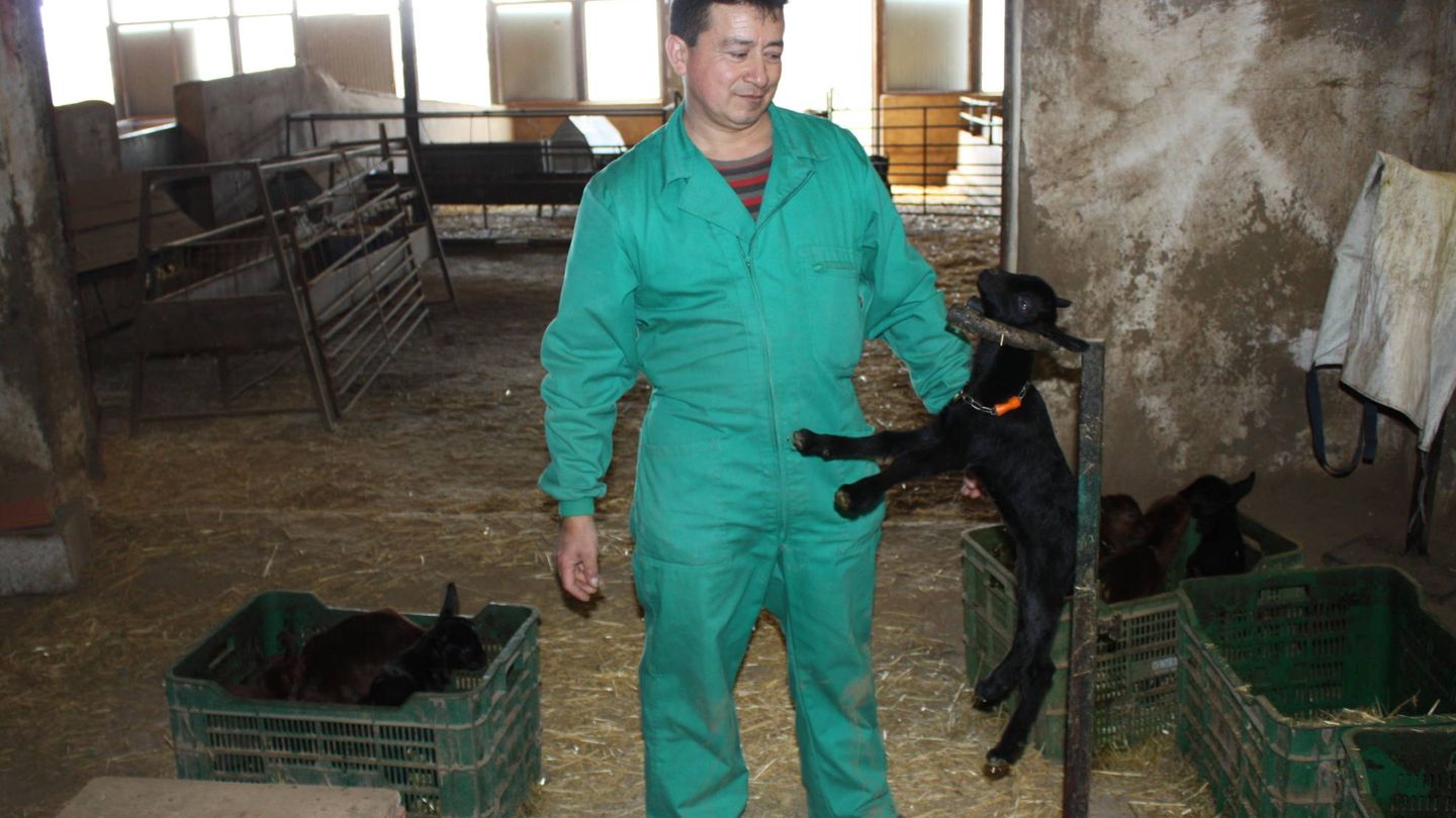 Manuel, en la granja de cabras murcianas de Jumilla. (R. M.)