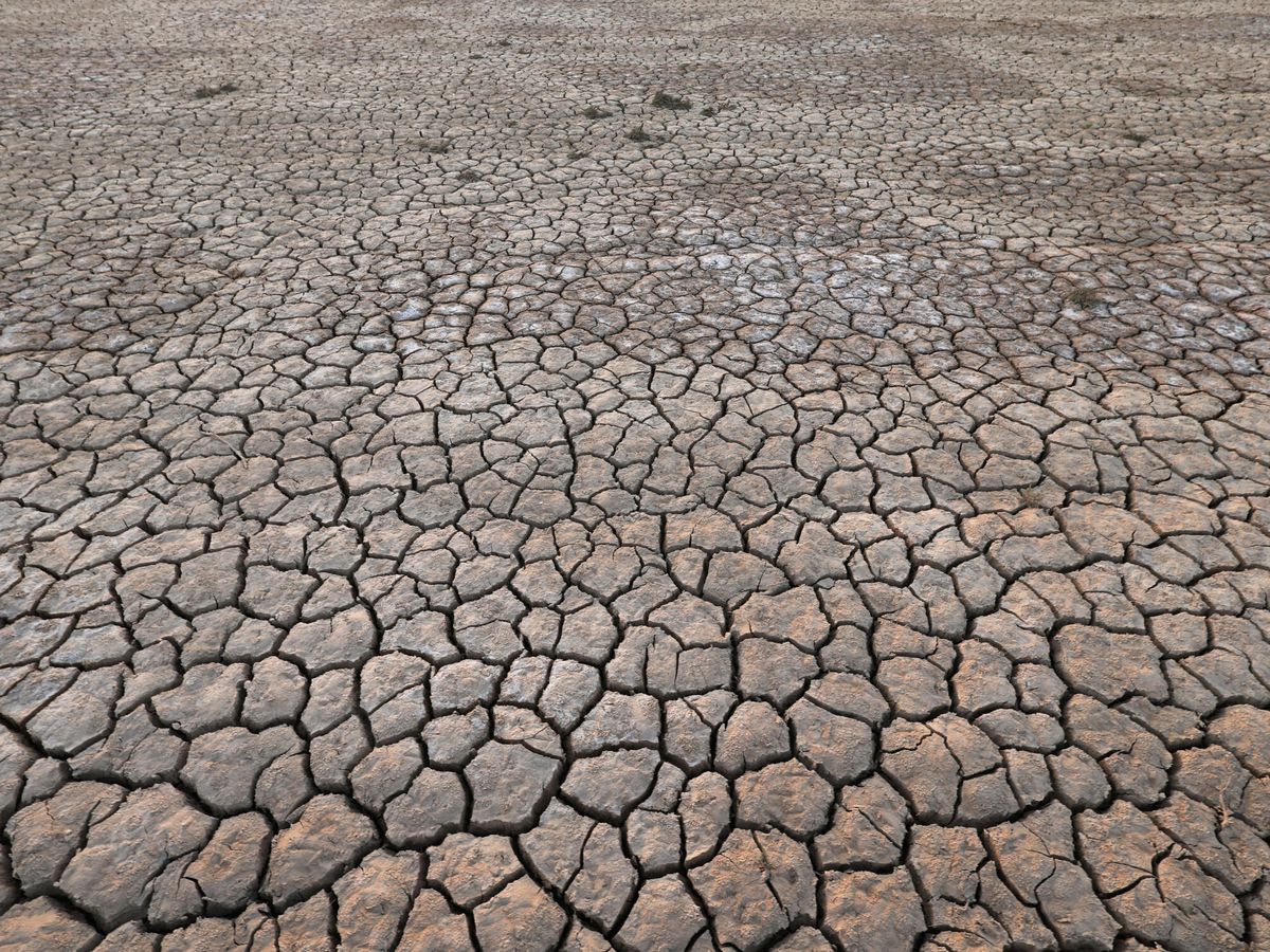 Foto: Las sequías se agravan en todo el planeta por el aumento del calentamiento global.(Reuters/Alaa Al-Marjani)