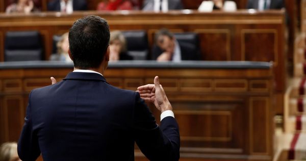 Foto: Pedro Sánchez (de espaldas), interviene en la sesión de control al Ejecutivo celebrada esta semana. (EFE)