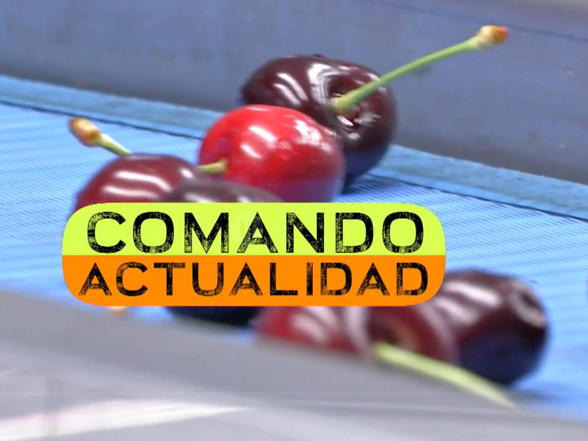 Foto: Logotipo de 'Comando actualidad'. (RTVE)