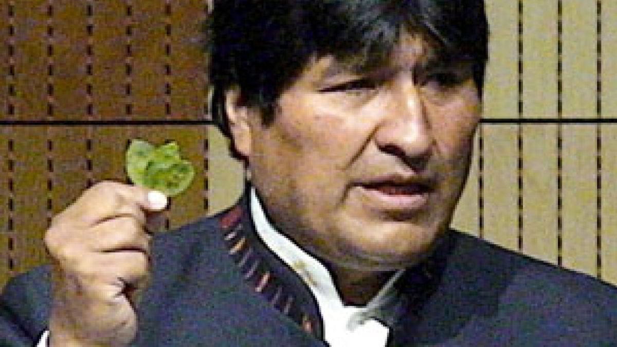 Evo Morales solicita despenalizar la coca y mastica una hoja ante la ONU