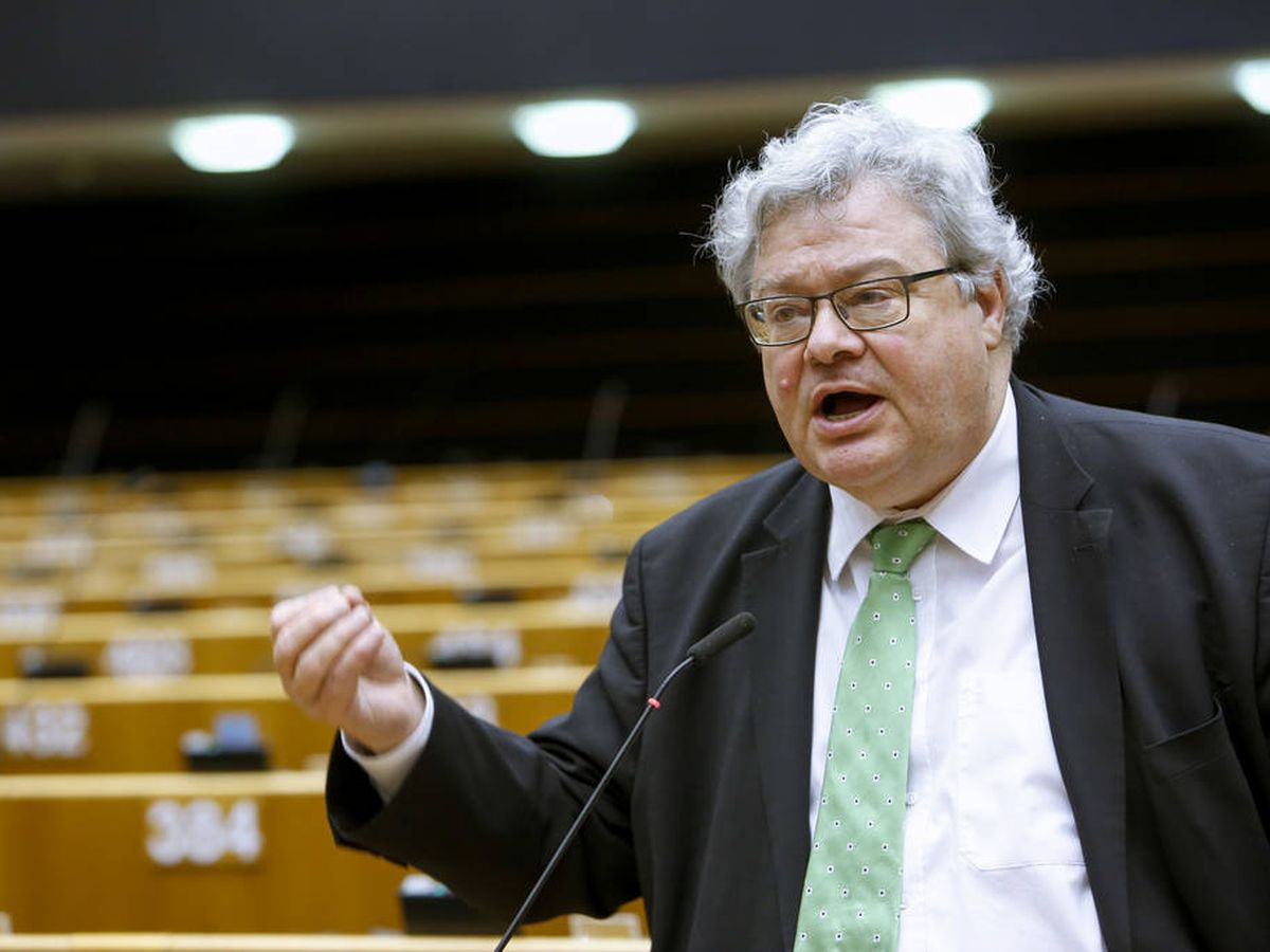 Foto: Reinhard Bütikofer, en el Parlamento Europeo. (EP)