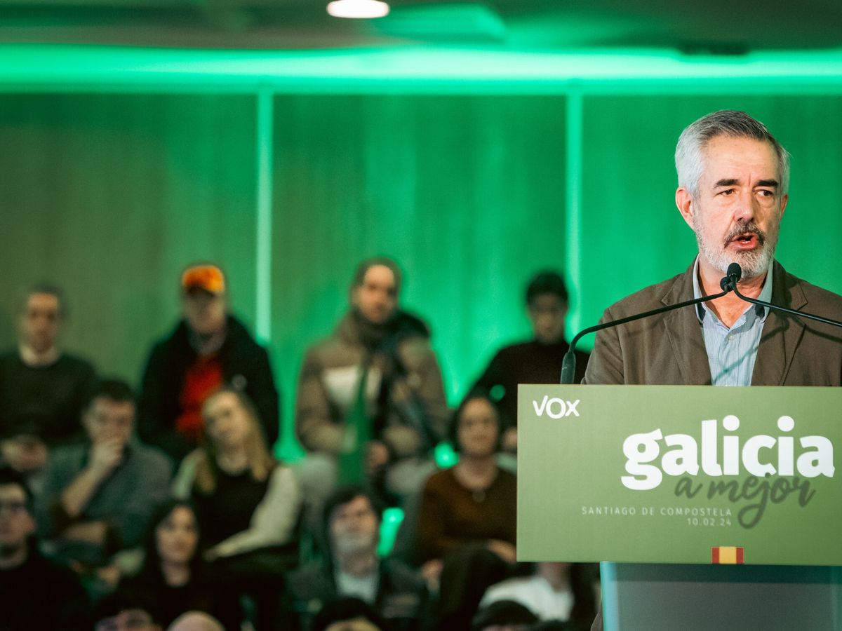 Foto: El candidato a la Presidencia de la Xunta de Galicia y cabeza de lista de Vox por Pontevedra, Álvaro Díaz-Mella. (Europa Press/Agostime)