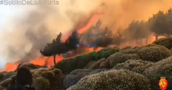 Foto: La altitud y el viento complican la extinción del incendio de sotillo (Ávila)