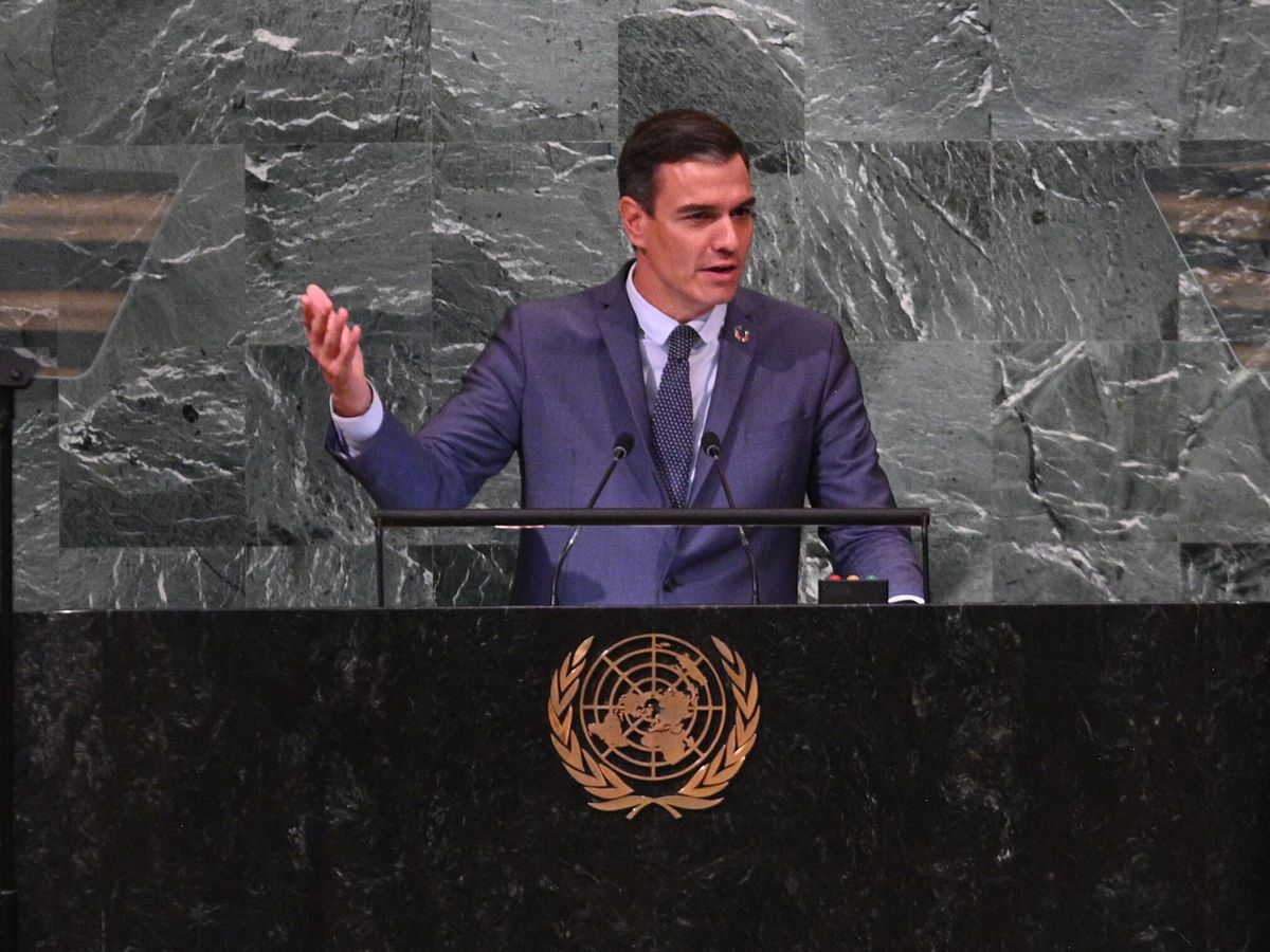 Foto: Pedro Sánchez ante la Asamblea General de la ONU. (EFE/ Borja Puig de la Bellacasa)