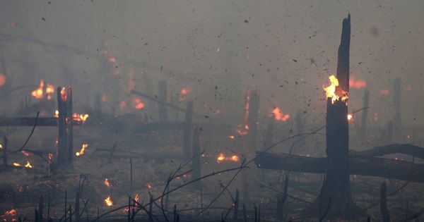 Foto: Un incendio en la selva del Amazonas (Reuters)