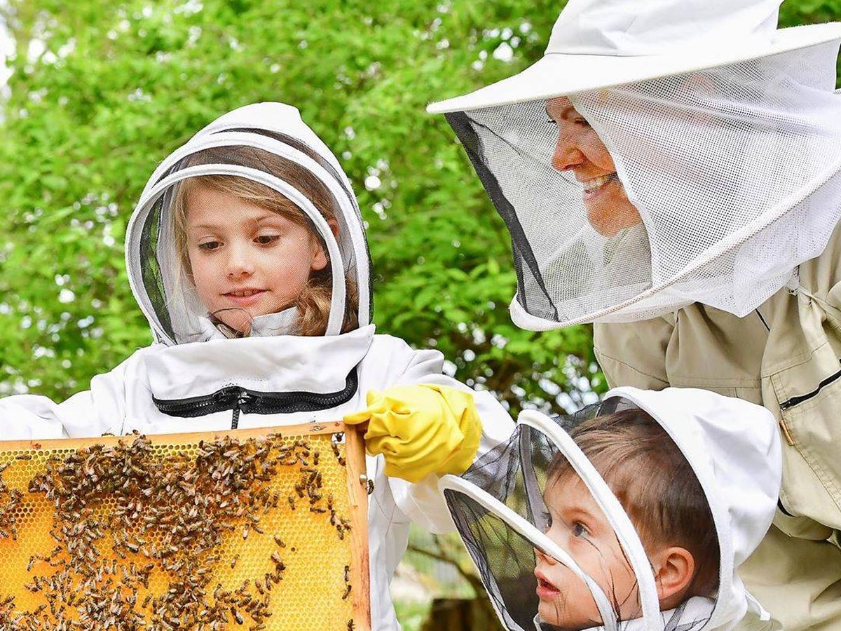 Foto: Victoria, Estelle y Oscar, apicultores por un día. (Jonas Ekströmer / Casa Real)